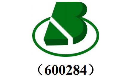 浦東(dōng)路(lù)橋建設