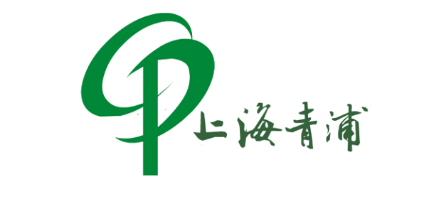 青浦政務